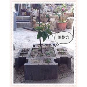 樹穴工程-承尚科技企業有限公司