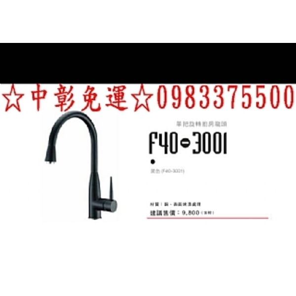 0983375500 德國CARYSIL 珂瑞 龍頭 F40-3001 黑色 可可 銅+烤漆處理 原廠公司貨 台中水龍頭