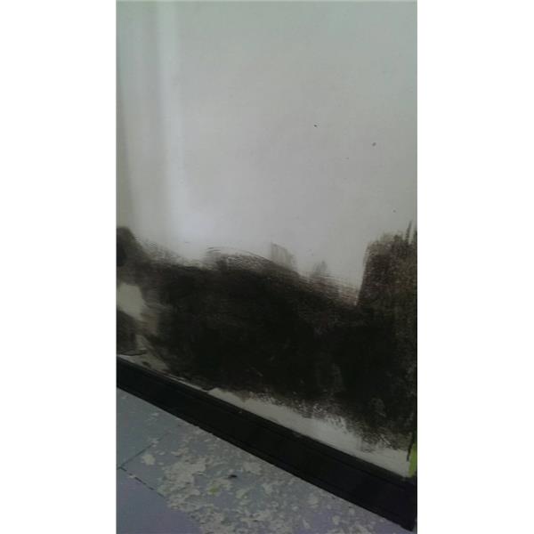 壁癌處理中-立群油漆工程行