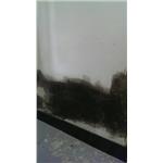壁癌處理中