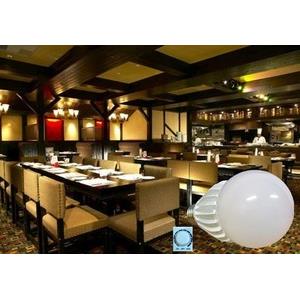 LED 可調光 燈泡 8W 10W-鼎泰綠能科技有限公司