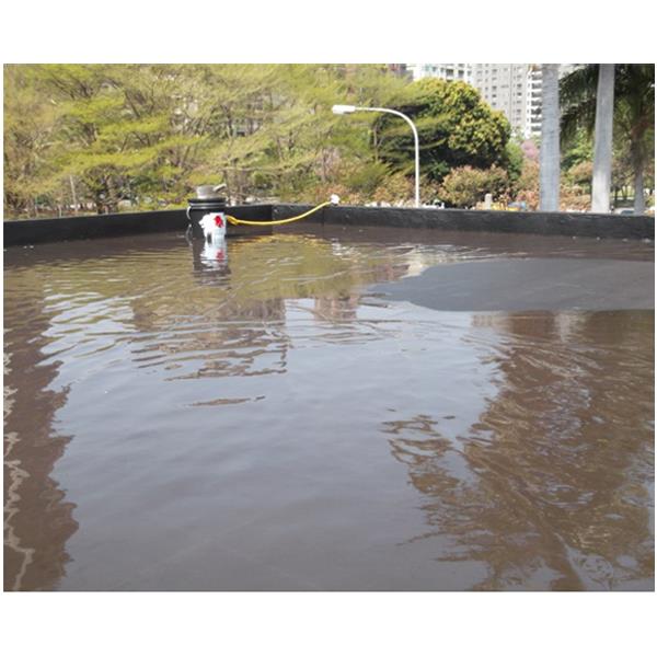屋頂浸泡式防水 屋頂浸泡式防水