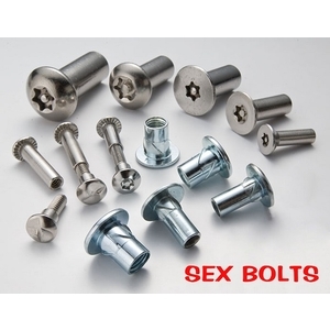 防盜系列公母螺絲-晟睿實業有限公司