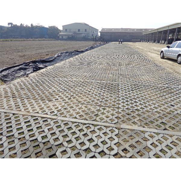 空心磚停車位 空心磚停車位