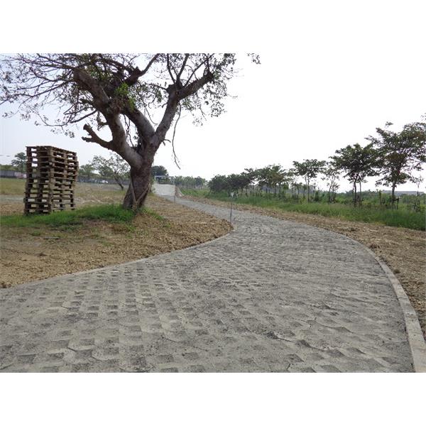 空心磚步道 空心磚步道