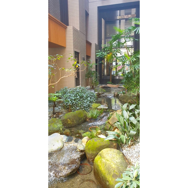 生態池施工 生態池施工