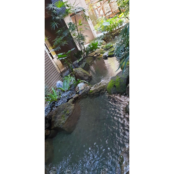 生態池施工