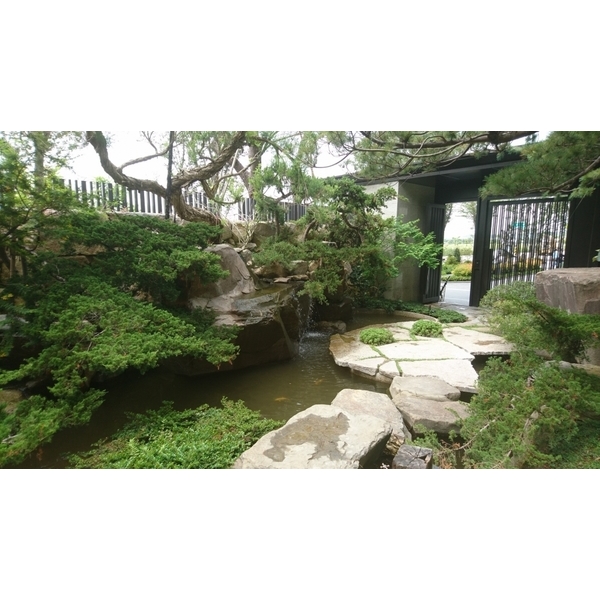 生態池施工