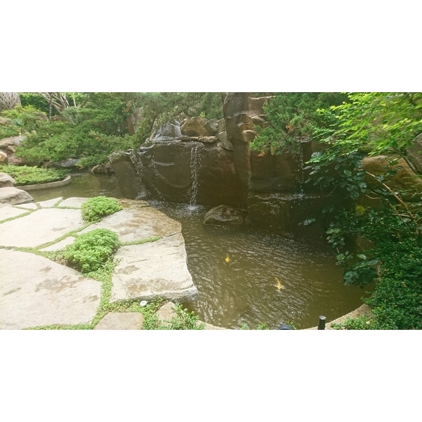 生態池施工