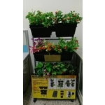 城市農田立體有機植栽-允祥實業有限公司