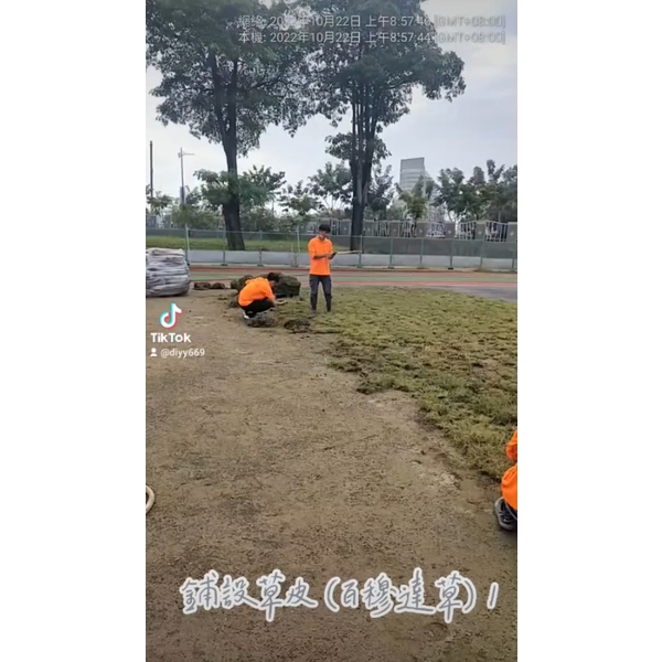 鋪設草皮(百慕達草)1 鋪設草皮(百慕達草)1