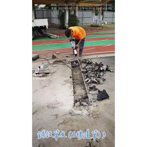 鋪設草皮(百慕達草)3 鋪設草皮(百慕達草)3