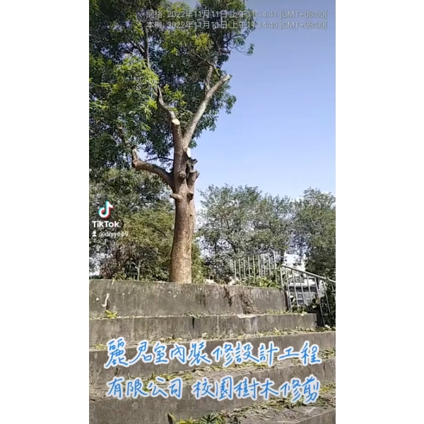 園藝服務-校園樹木修剪 園藝服務-校園樹木修剪