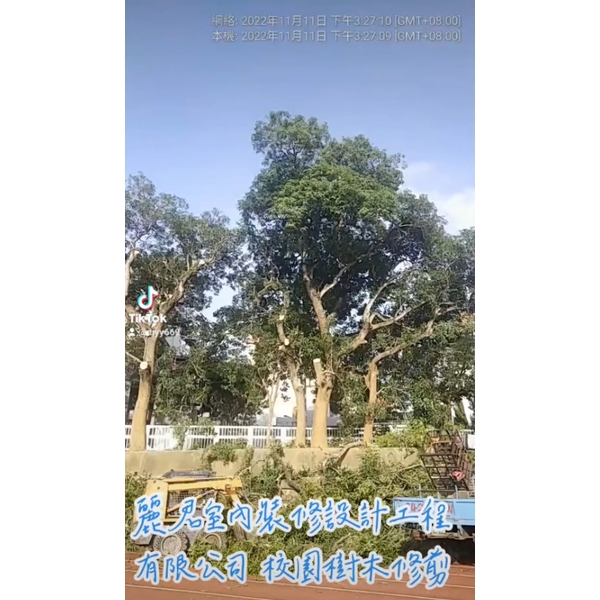 園藝服務-校園樹木修剪2 園藝服務-校園樹木修剪2