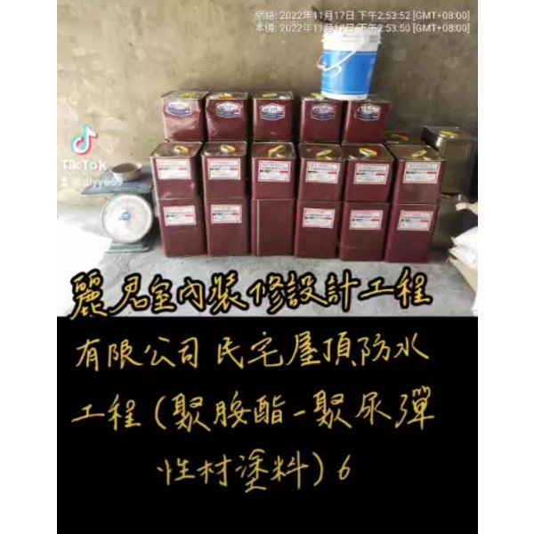 防水工程|民宅屋頂|聚胺酯聚脲彈性材塗料6 防水工程|民宅屋頂|聚胺酯聚脲彈性材塗料6