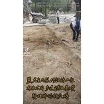 樹穴施作－步道舖面基礎整理排列樹穴磚 - 麗君室內裝修設計工程有限公司