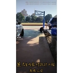 樹穴施作 - 麗君室內裝修設計工程有限公司