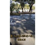 樹穴+步道施作 - 麗君室內裝修設計工程有限公司