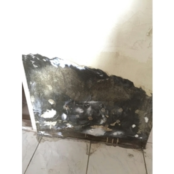 屋頂防水施作、增建漏水抓漏、壁癌、防水、油漆-麗君室內裝修設計工程有限公司