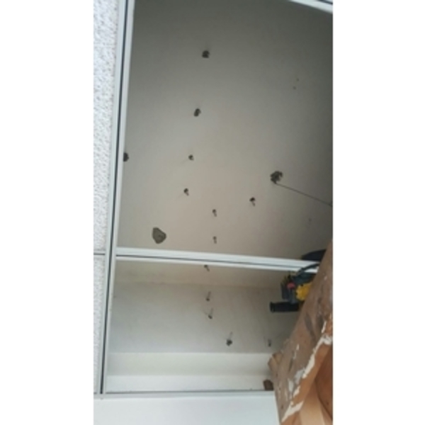地下室結構裂縫滲水-麗君室內裝修設計工程有限公司