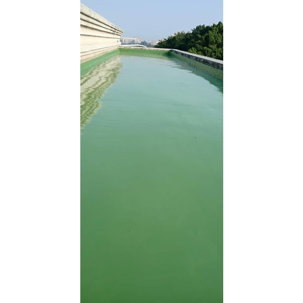 屋頂防水工程 屋頂防水工程