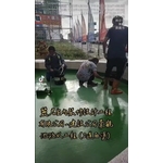 景觀池防水工程(2到道塗) - 麗君室內裝修設計工程有限公司