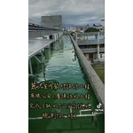 屋頂防水工程素地整理完成(放水7公分高試水72小時) - 麗君室內裝修設計工程有限公司