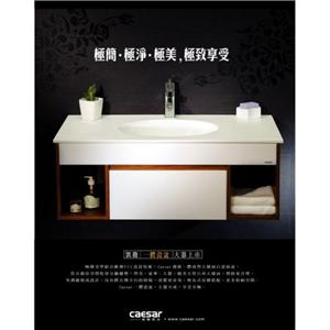Caesar 一體瓷盆-凱撒衛浴股份有限公司