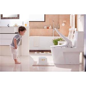 easelet逸潔電腦馬桶座-凱撒衛浴股份有限公司