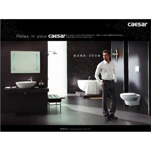 凱撒簡介情境圖-凱撒衛浴股份有限公司