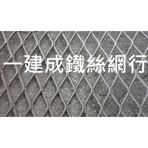 擴張網-一建成鐵絲網行