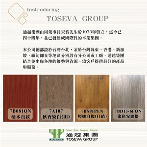 公司簡述-通越有限公司