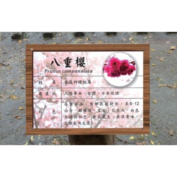 公園植物標示牌