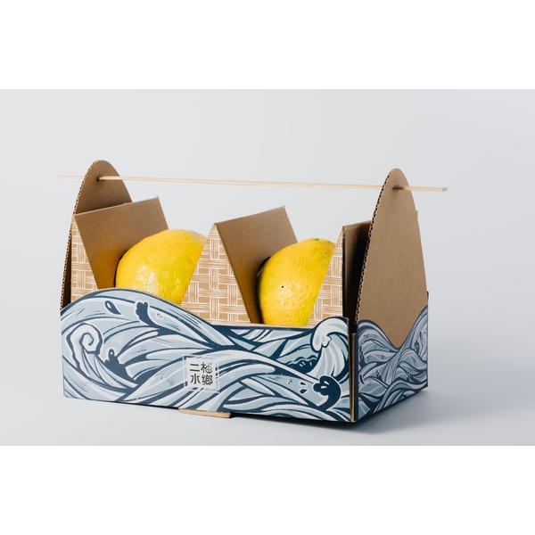 畢業製作-瓦楞紙板印刷