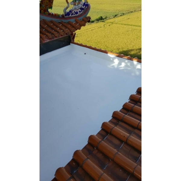 廟宇防水