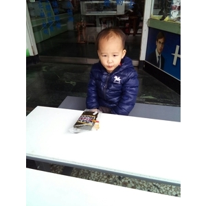 無障礙桌椅-通好行