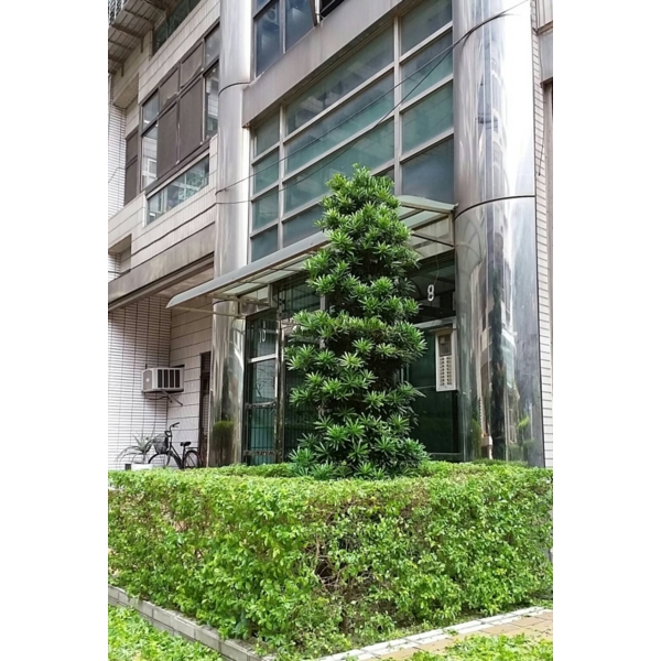 植栽修剪
