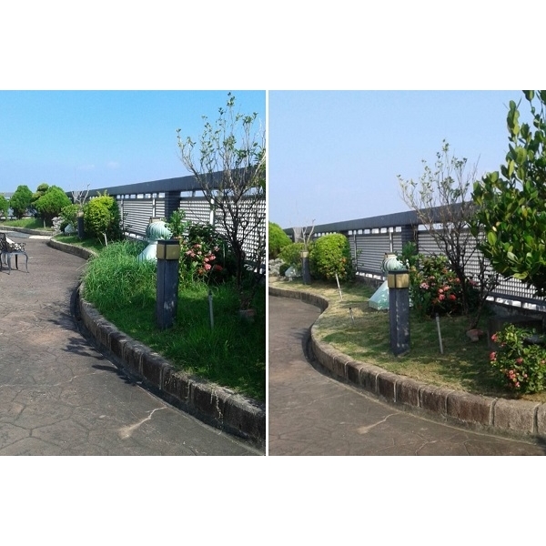 清除雜草