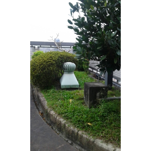 清除雜草