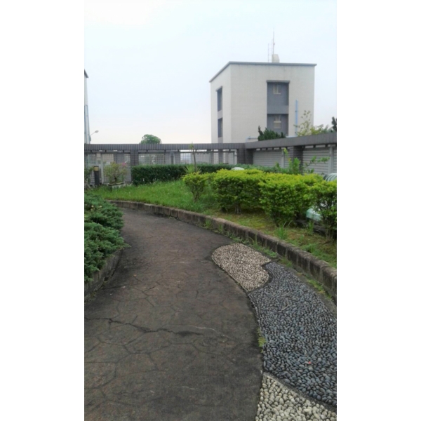 清除雜草