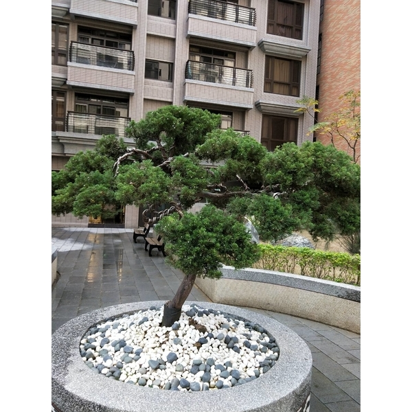 植栽造景01