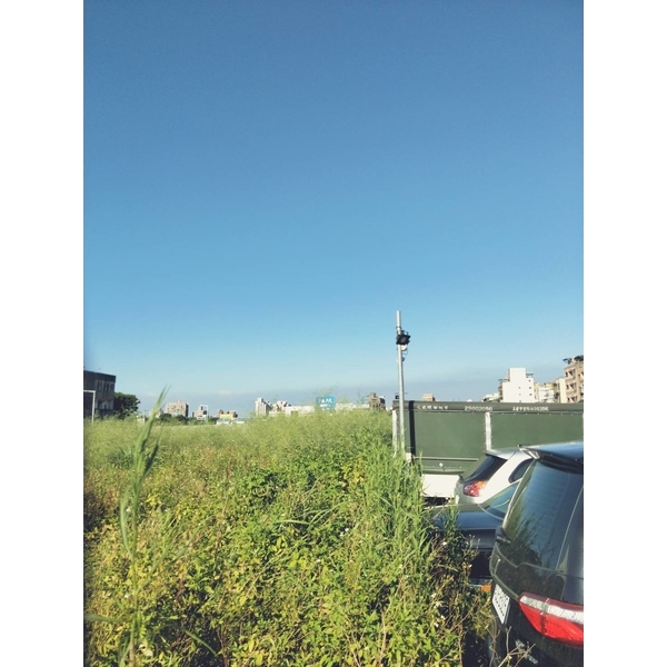 整地割草
