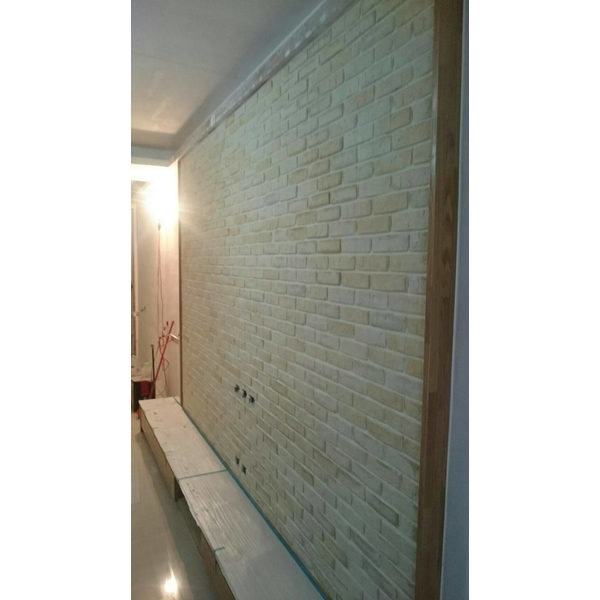 全屋室內整修