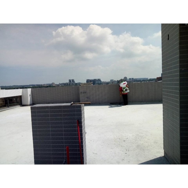 PU工程施工研磨清地 PU工程施工研磨清地