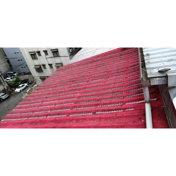 防鳥刺安裝-藝潔事業有限公司