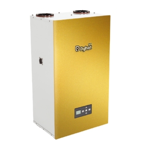 即熱式瓦斯熱水器-新碩水電有限公司