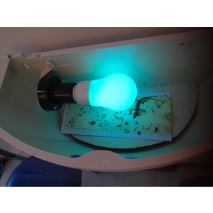 JK壁掛式捕蟲燈-彰崑環境工程有限公司