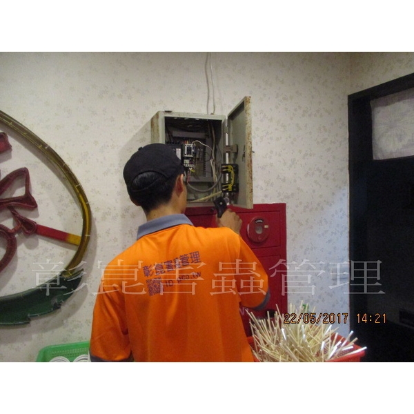 德國蟑螂防治 德國蟑螂防治