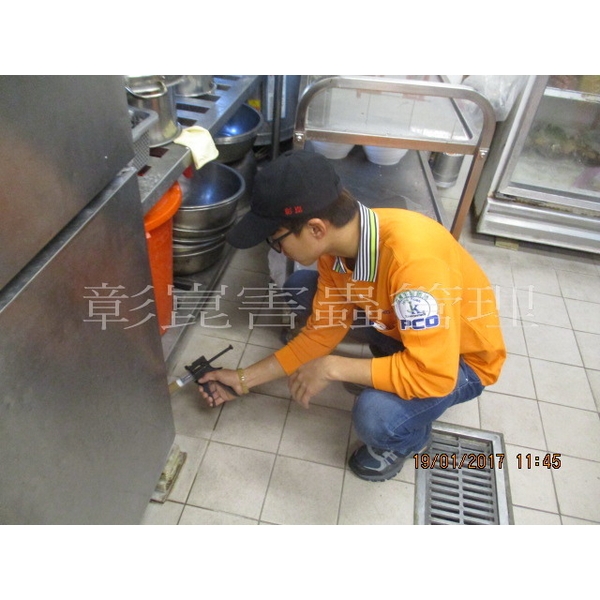 德國蟑螂防治 德國蟑螂防治