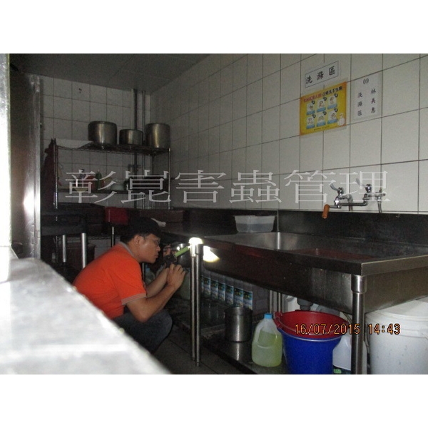 德國蟑螂防治-彰崑環境工程有限公司